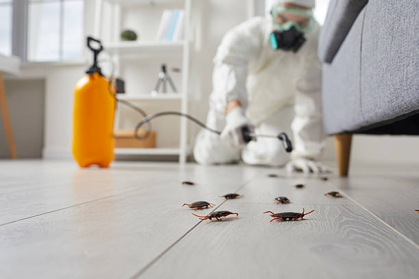 Trusted Fumigation Services service in New Hope, OR - Nex Pest Control