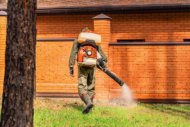 Trusted Cockroach Control service in New Hope, OR - Nex Pest Control